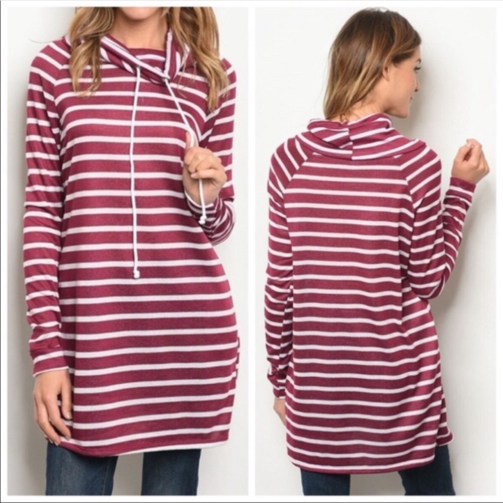 Adorable Burgundy White striped Top